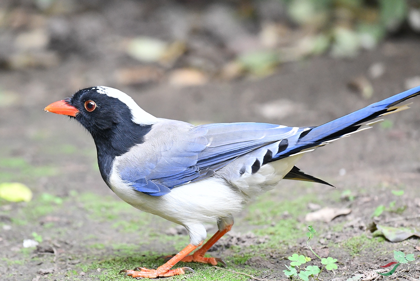 DSC_0191.jpg