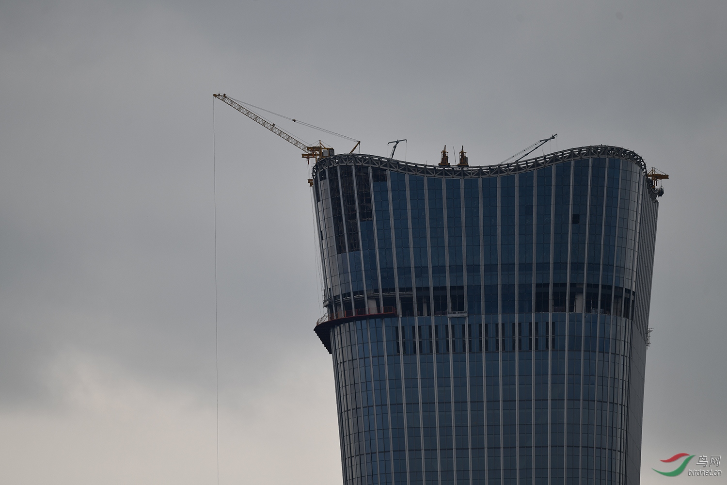 DSC_0151.jpg