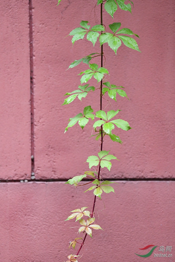 DSC_0097.jpg