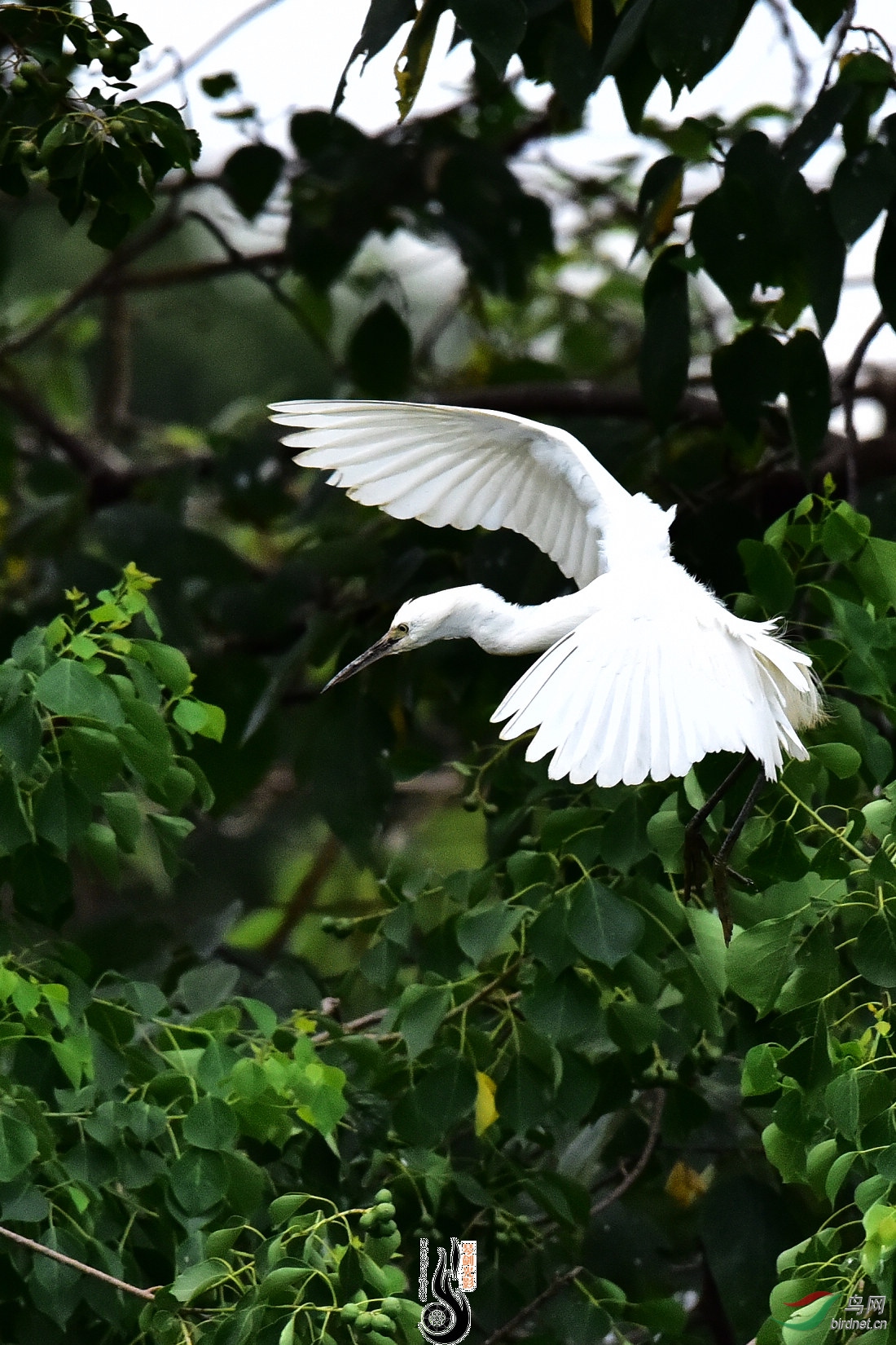 DSC_4754.JPG