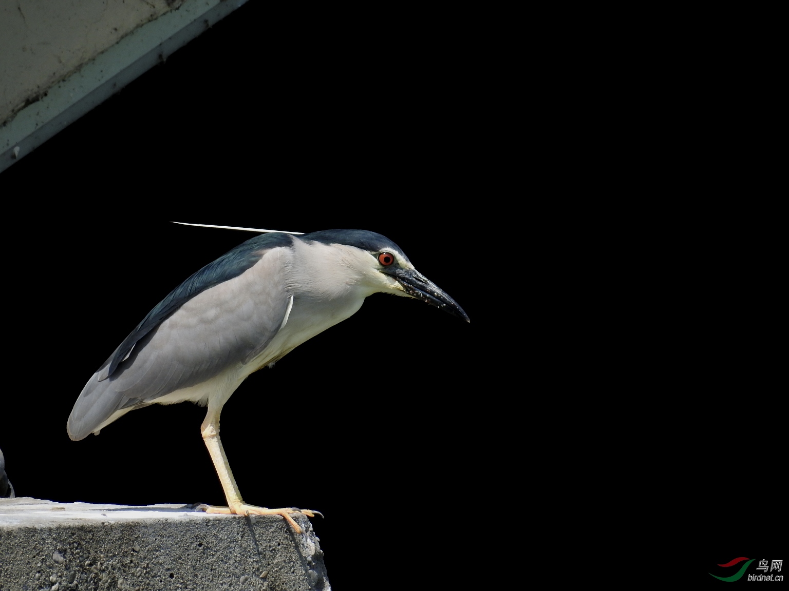DSCN8013.JPG