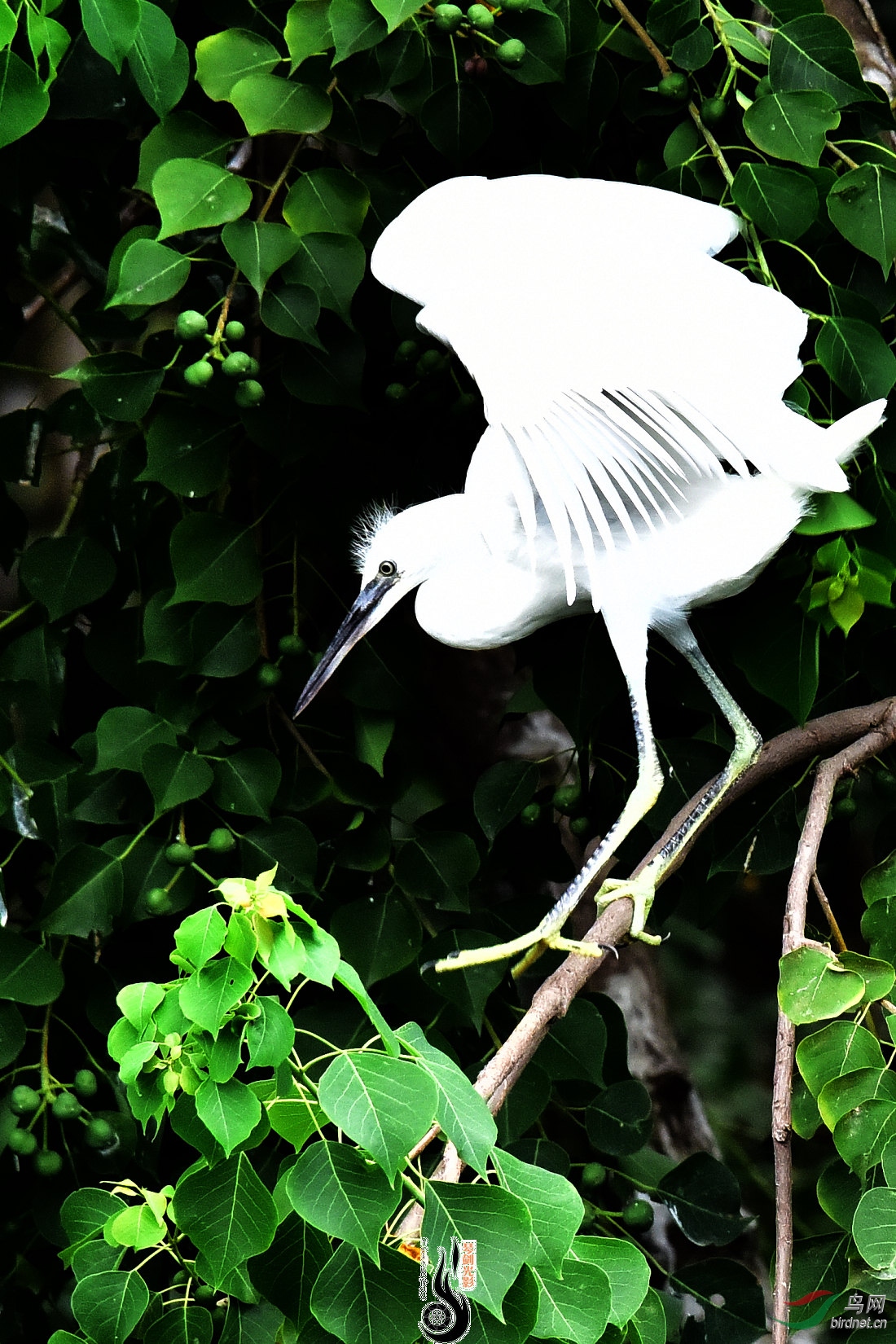 DSC_4804.JPG