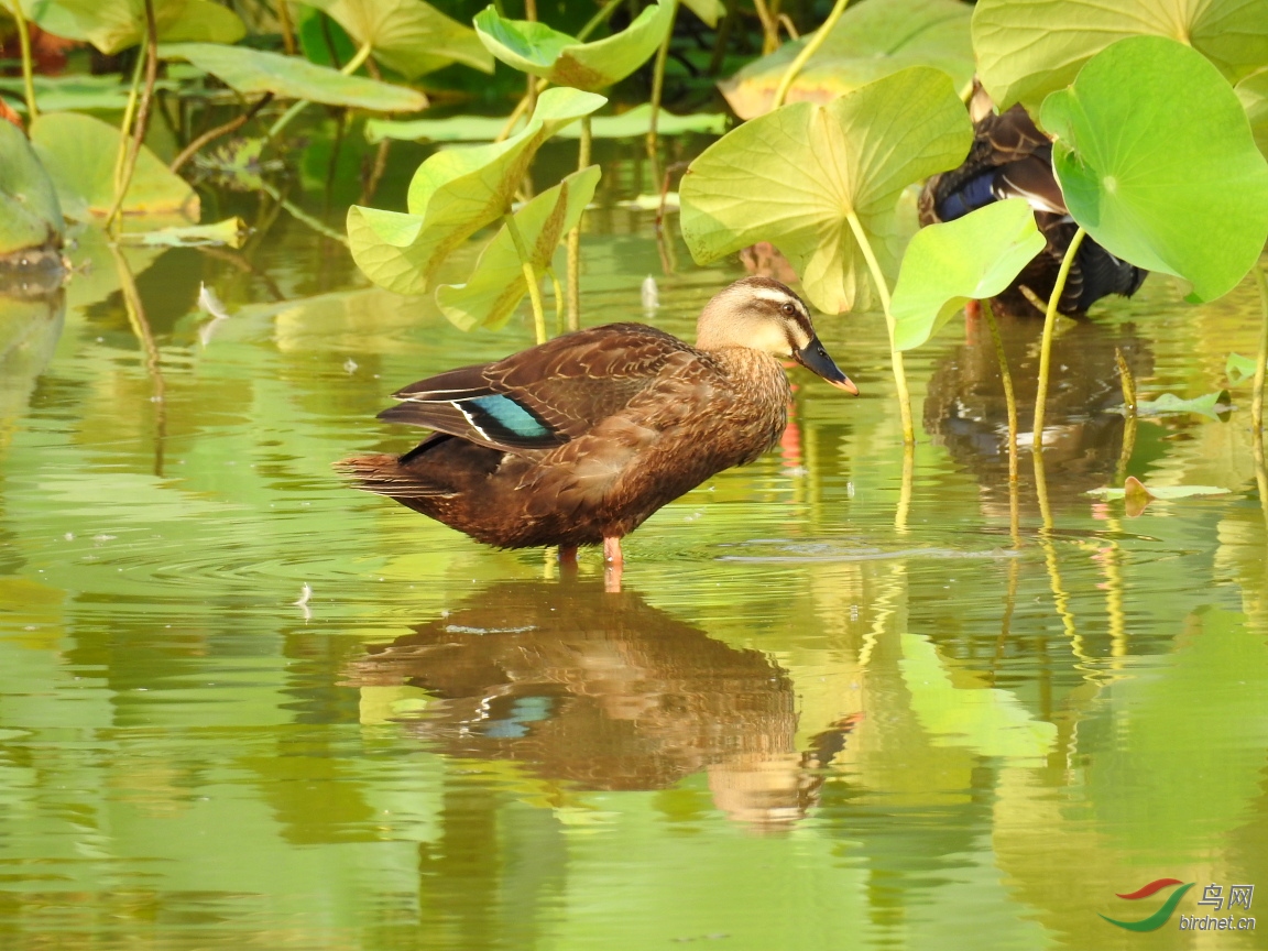 DSCN9349.JPG