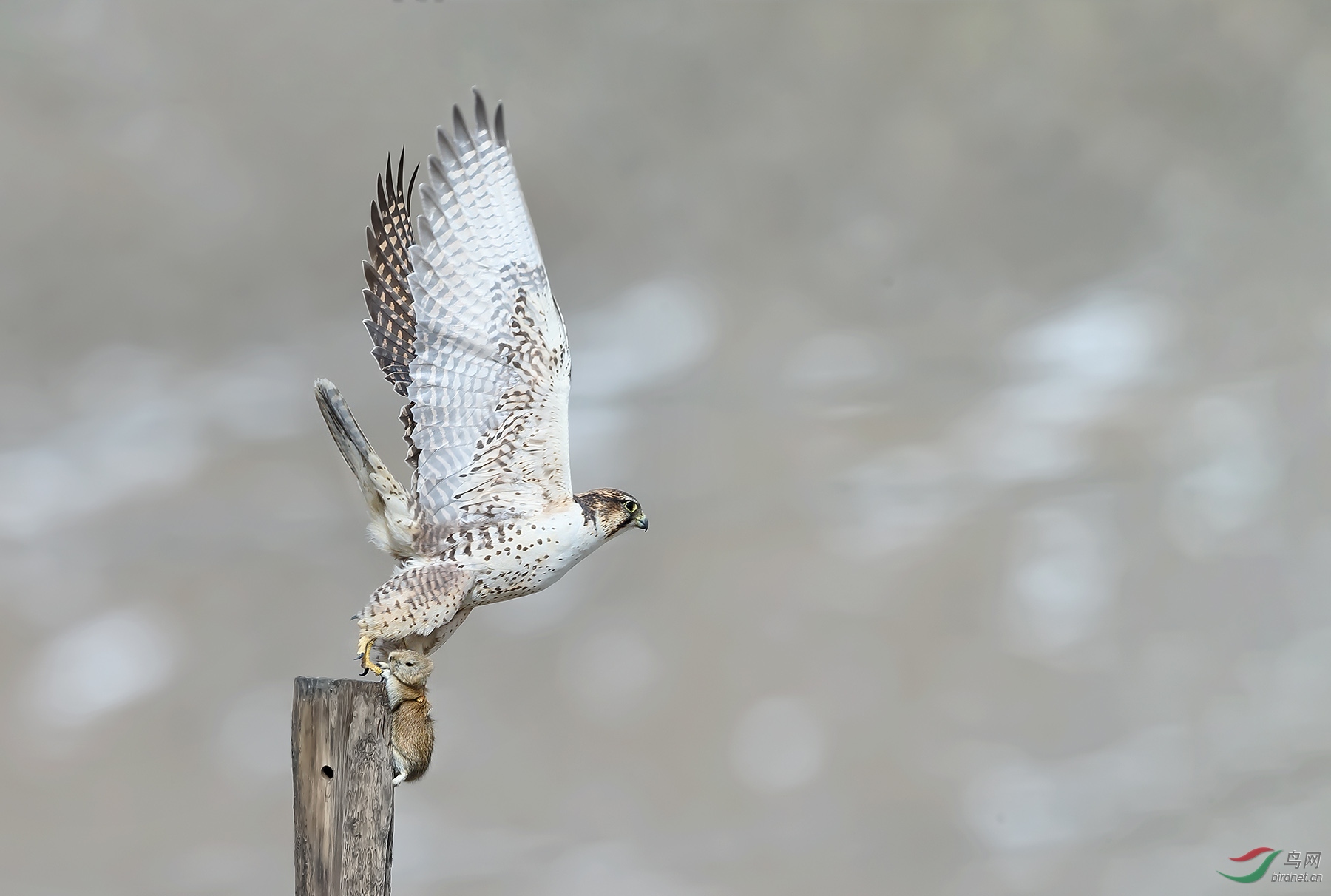 AU7R0594 ����.jpg