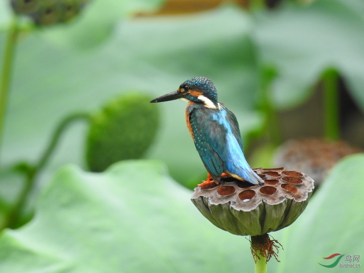 DSCN9794.JPG