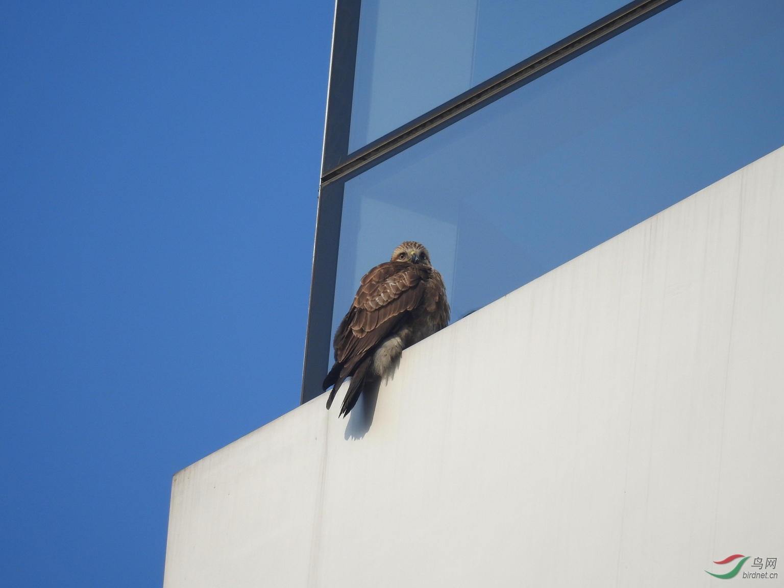 DSCN5106.JPG