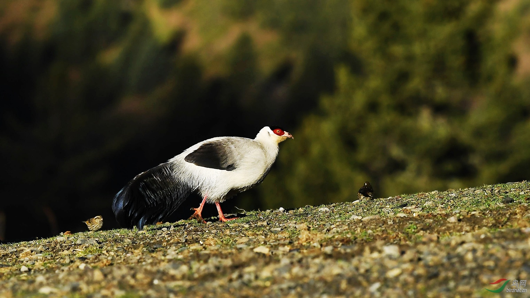 小不点,走快点跟上