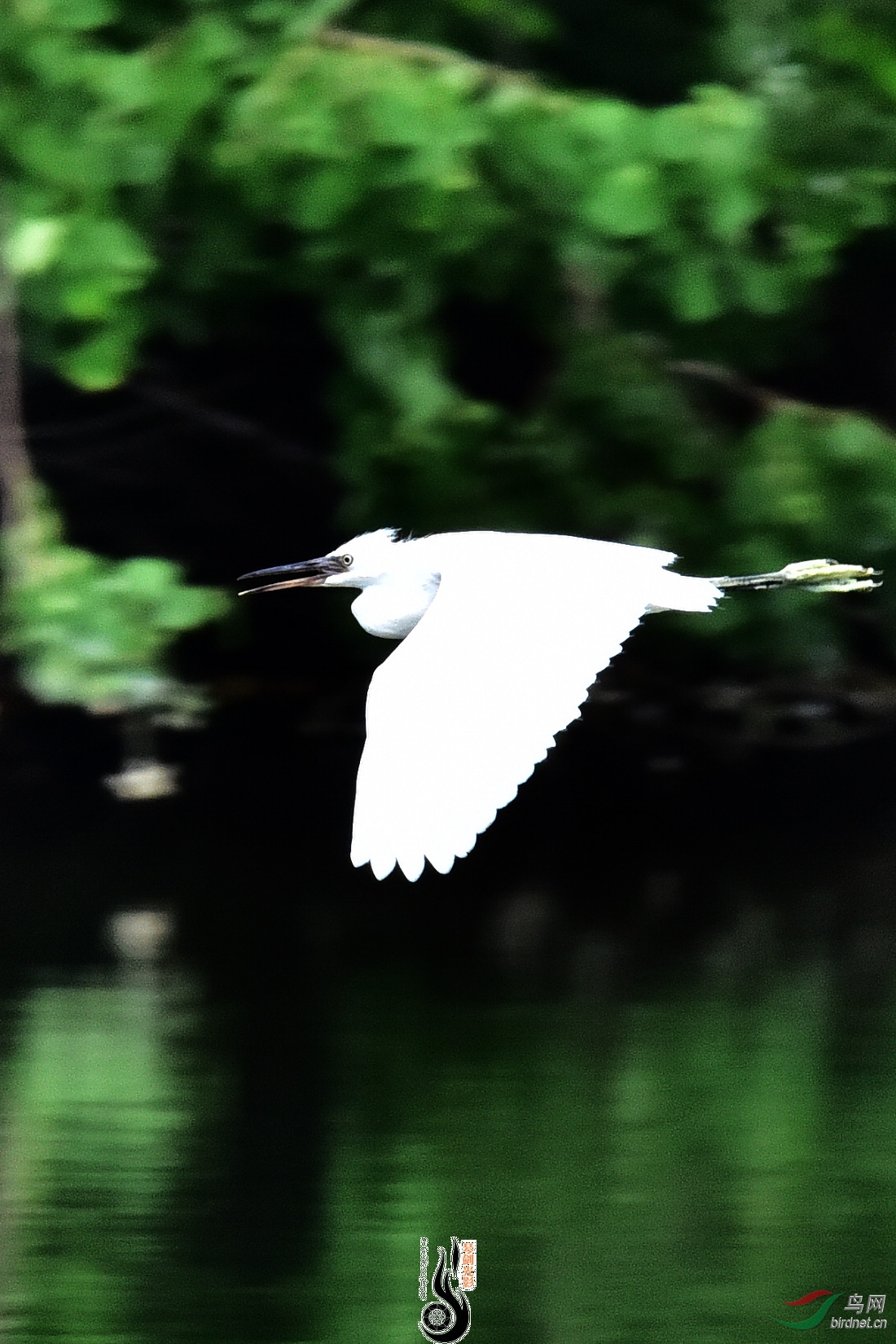DSC_5260.JPG