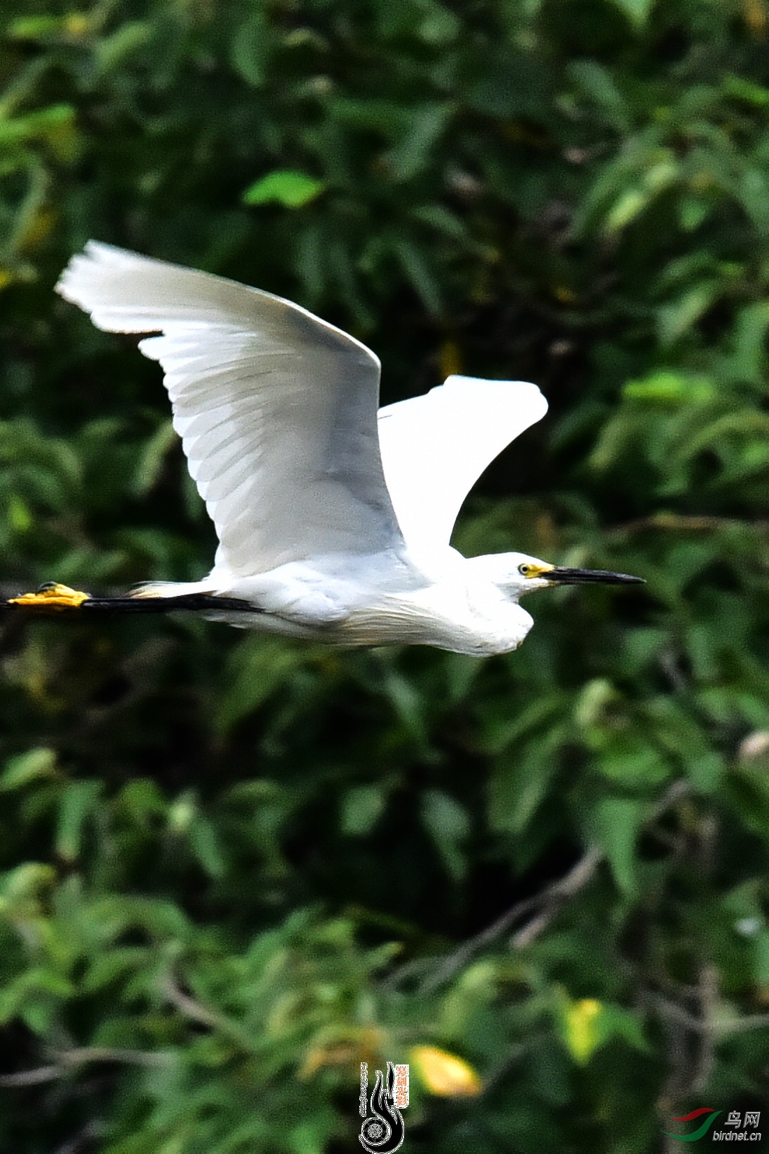 DSC_5272.JPG