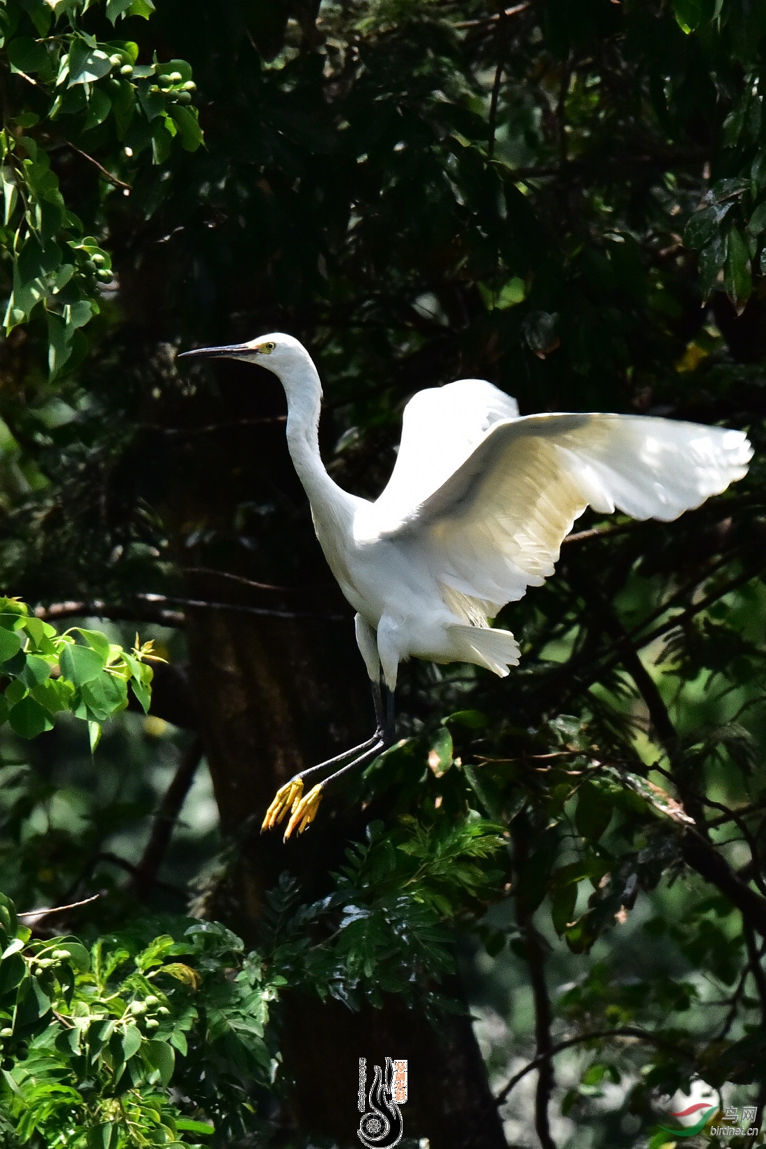 DSC_5586.JPG