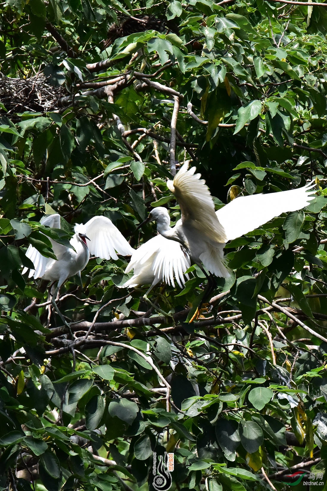 DSC_5592.JPG