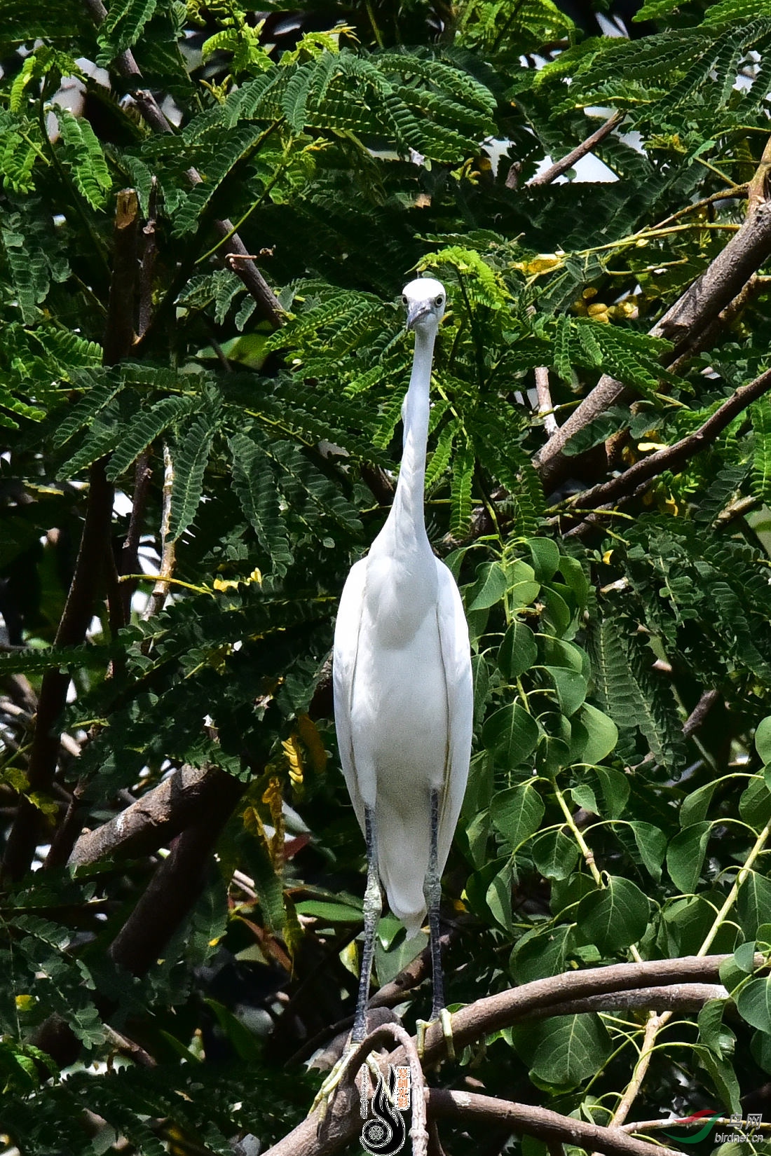 DSC_5626.JPG