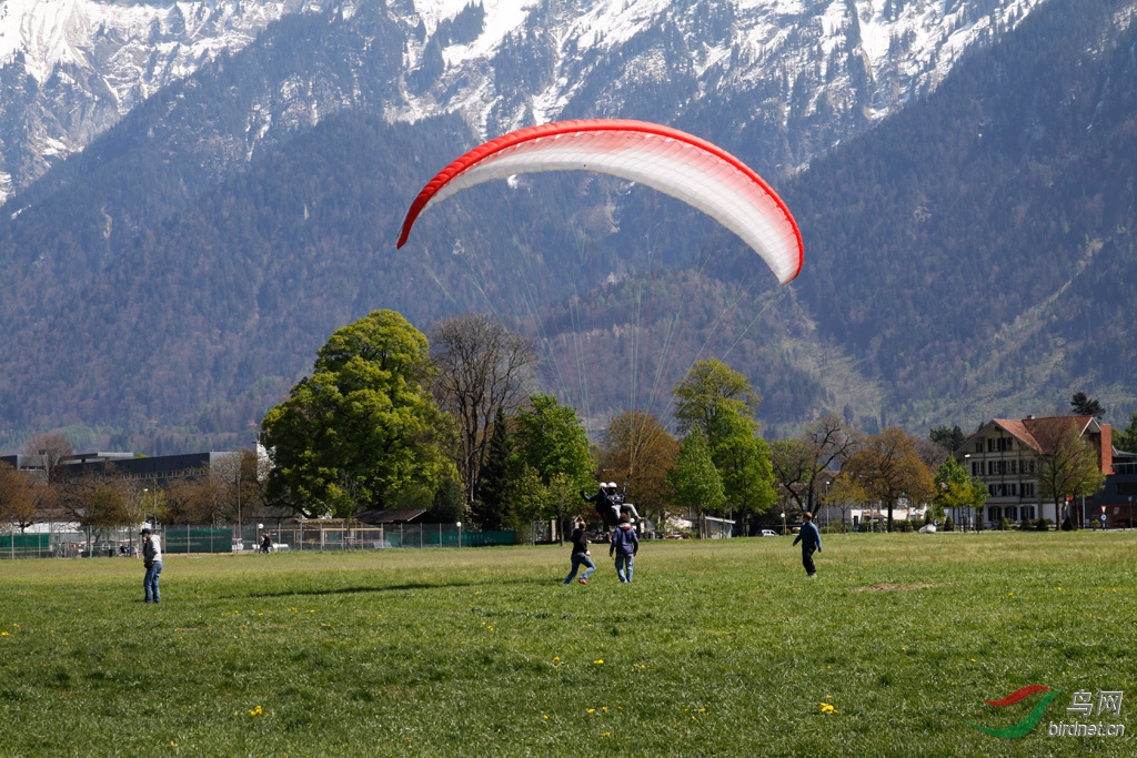 因特拉肯大草坪上空的滑翔伞