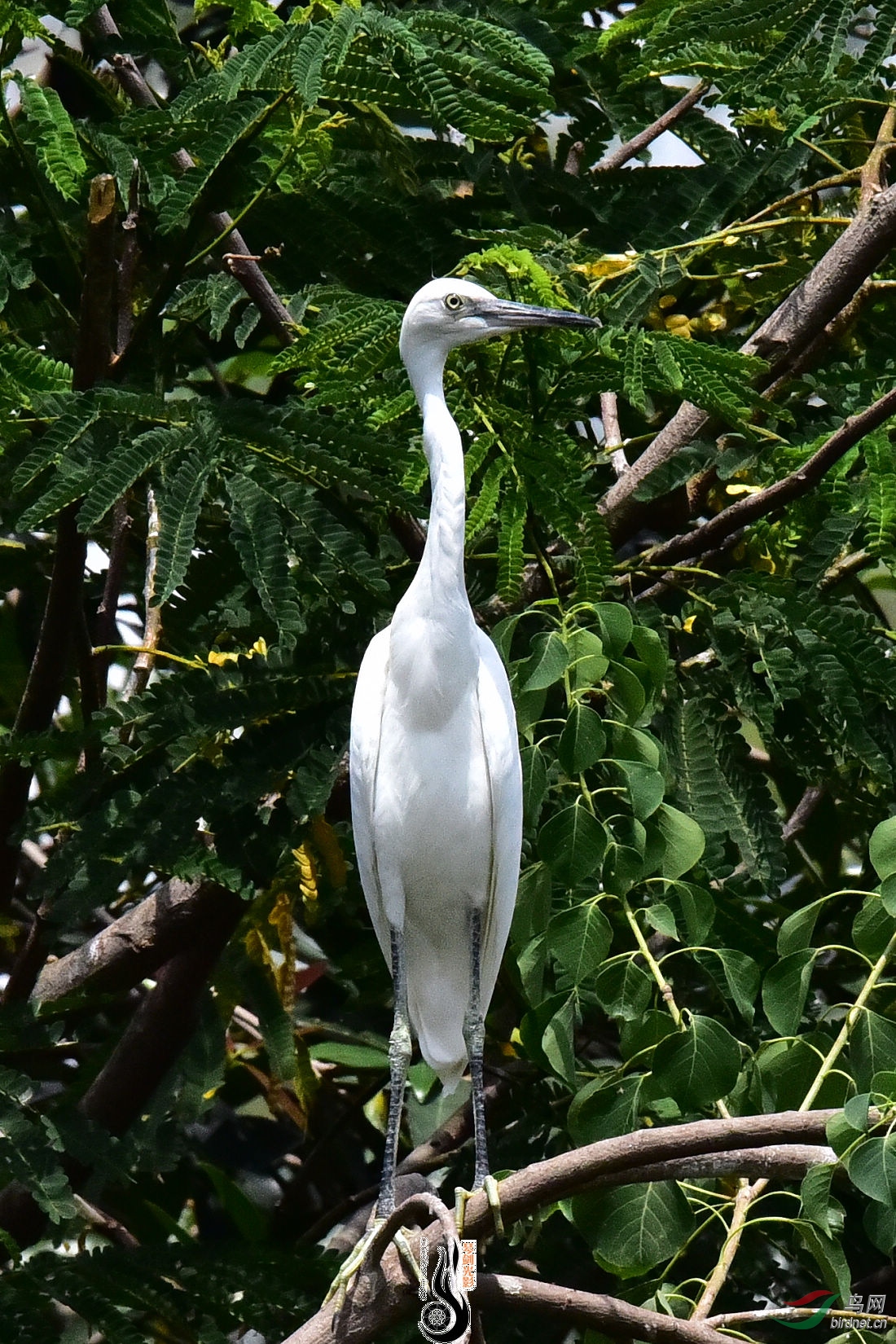 DSC_5629.JPG