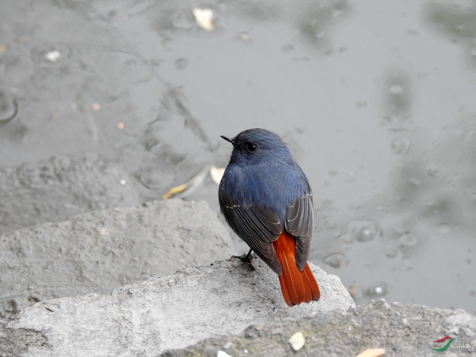 DSCN6259.JPG