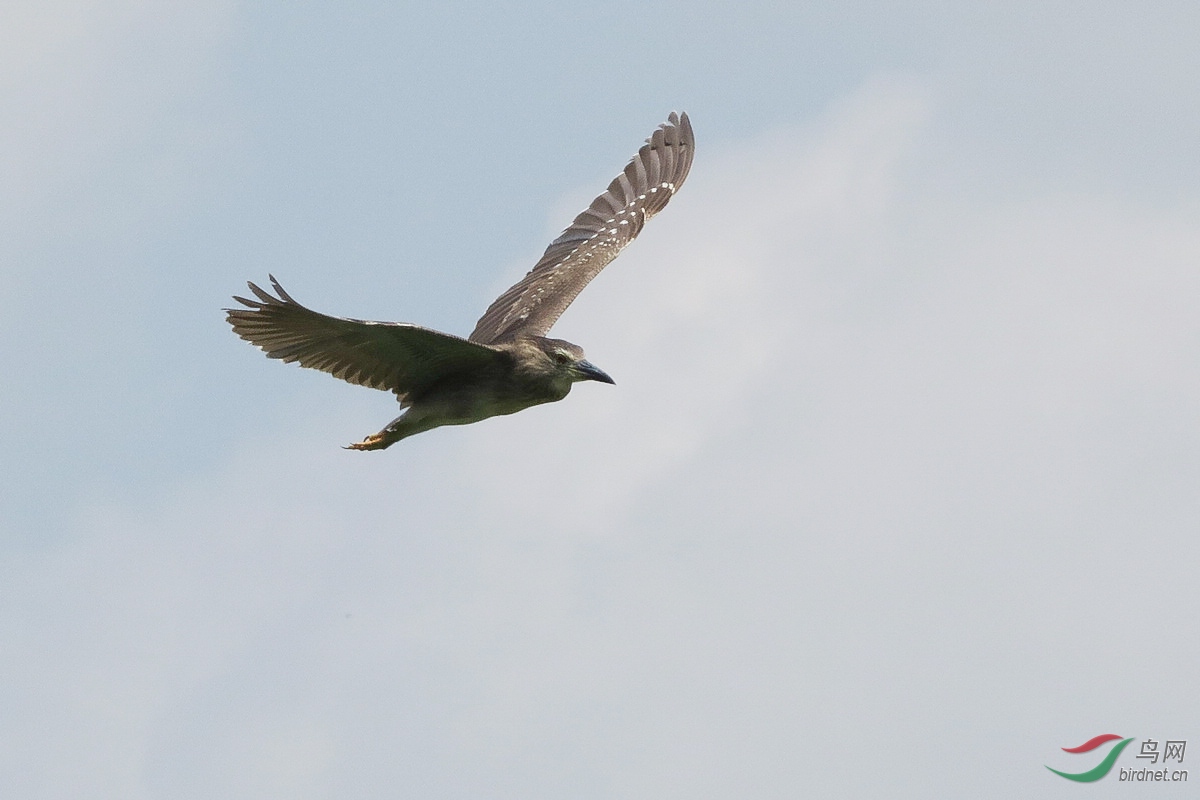 IMG_9214.JPG