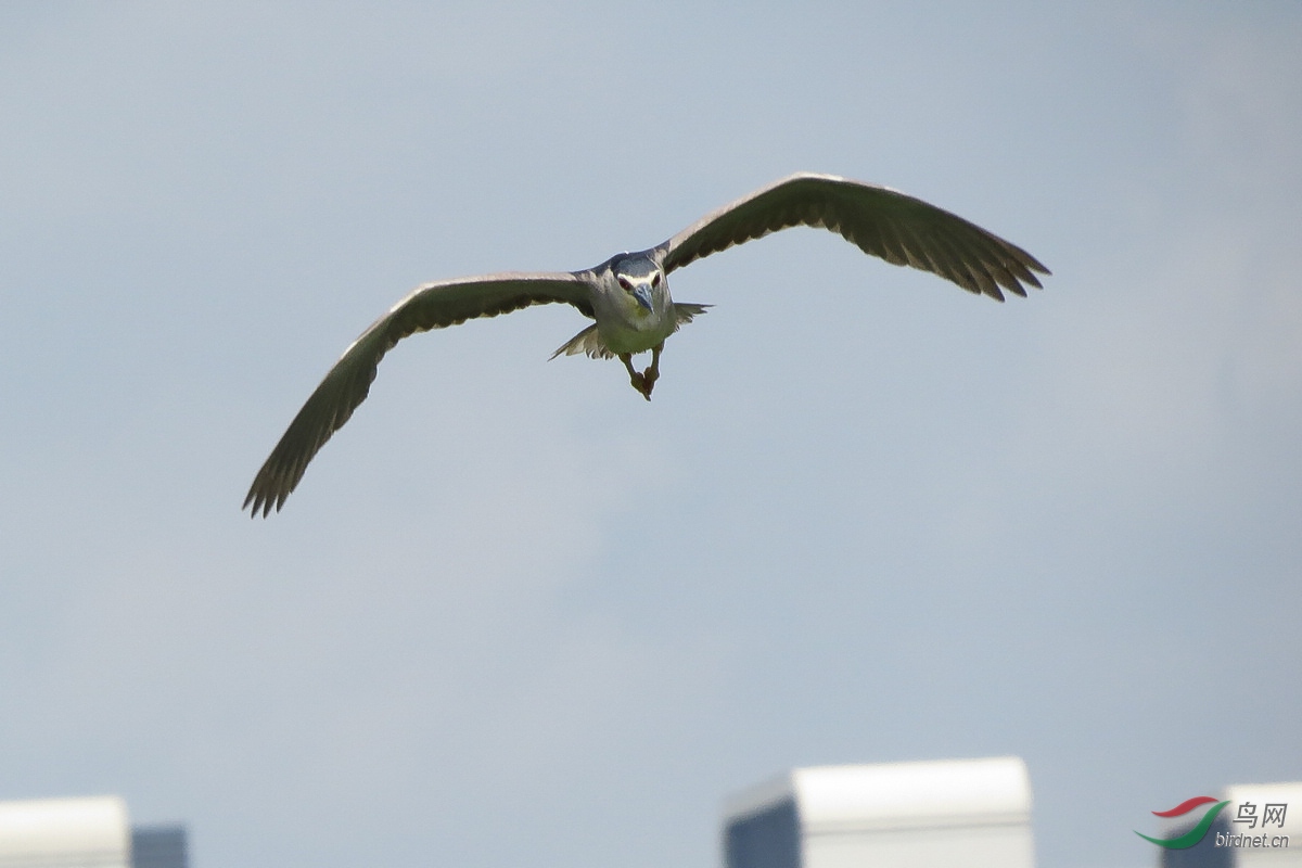 IMG_9241.JPG