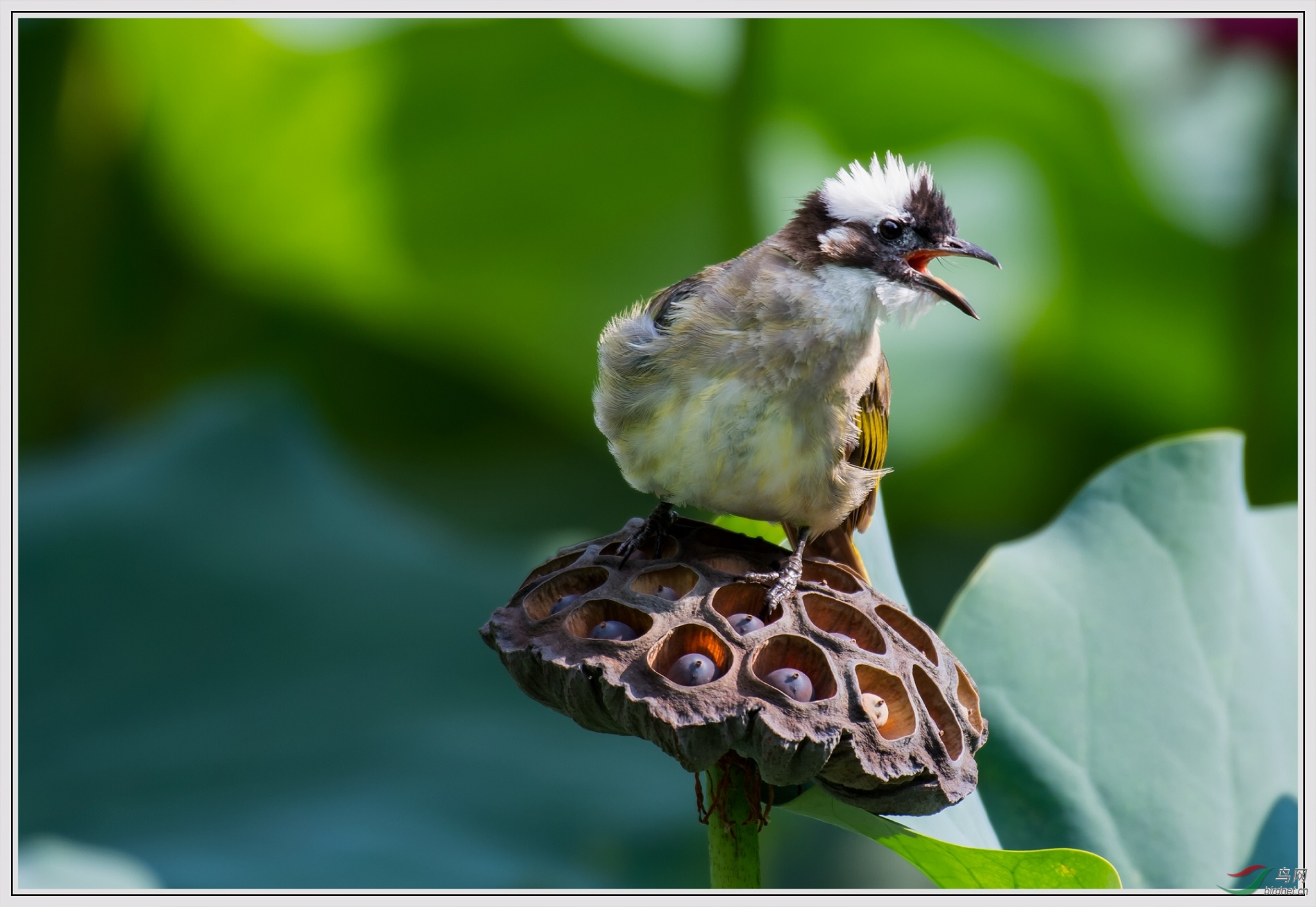 10�ף��в���