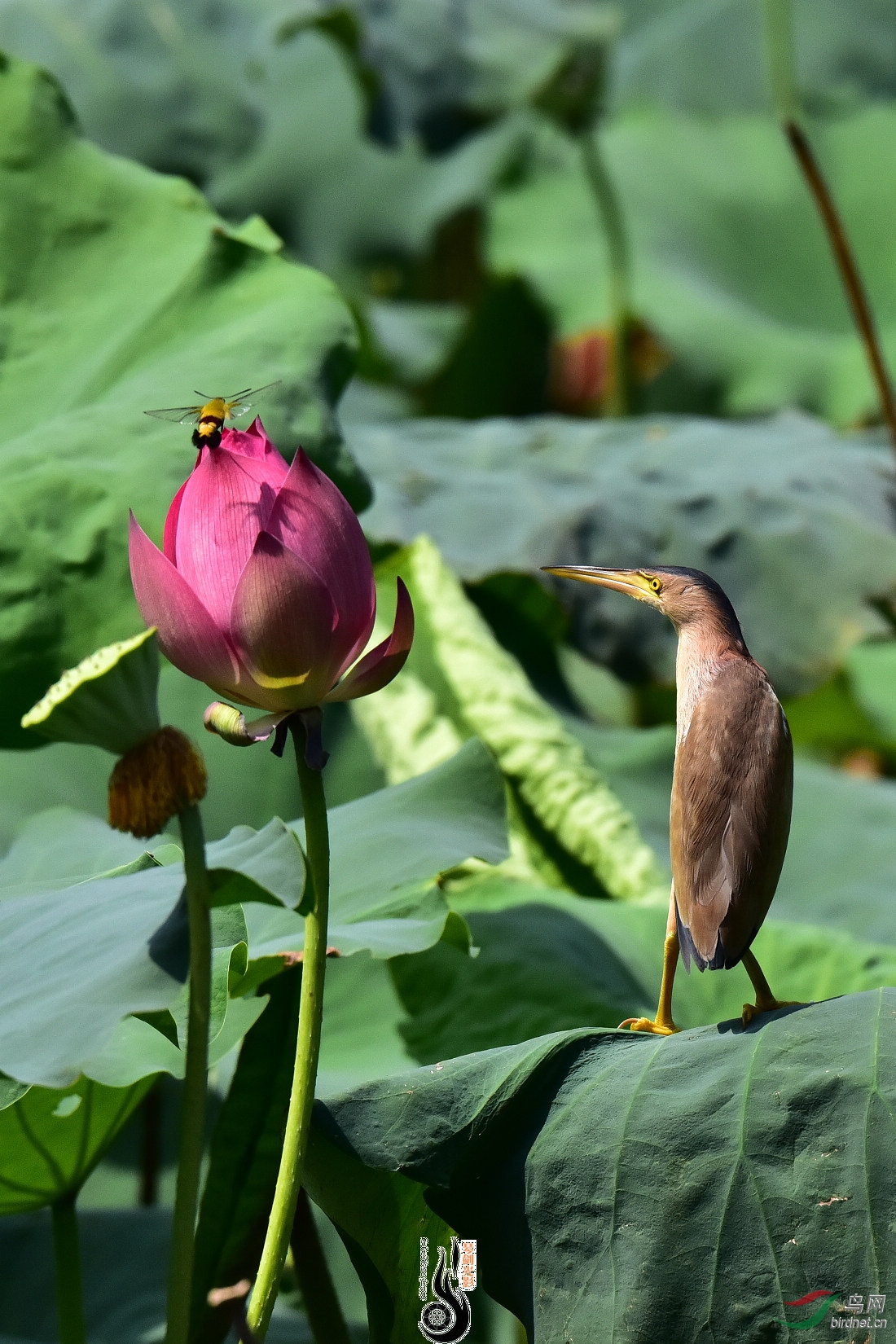 DSC_6277.JPG
