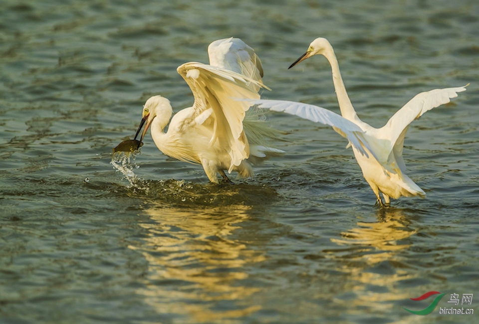 _88I4603�ĸ��� 2.jpg