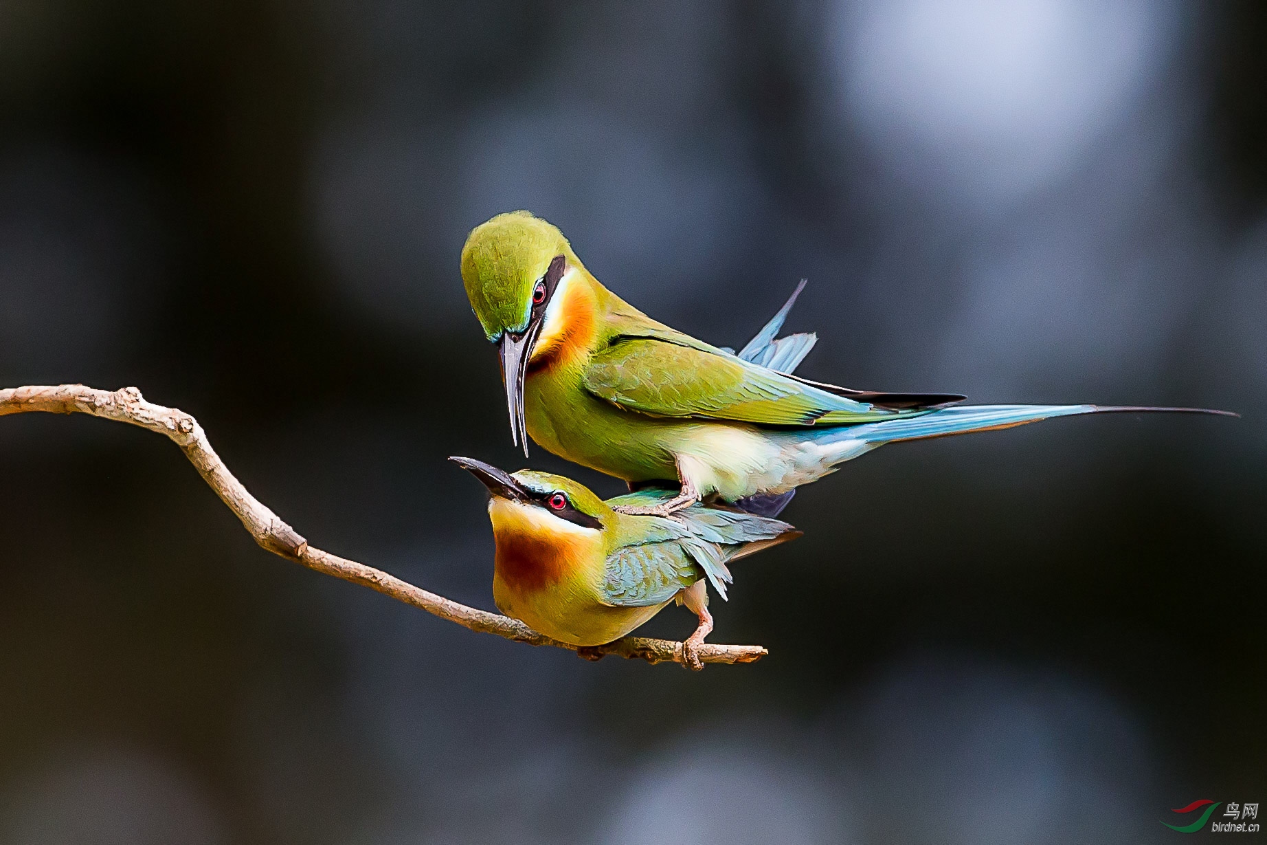 这一刻什么也别说  本帖最后由 虫朋鸟友 于 2018-9-14 06:42 编辑