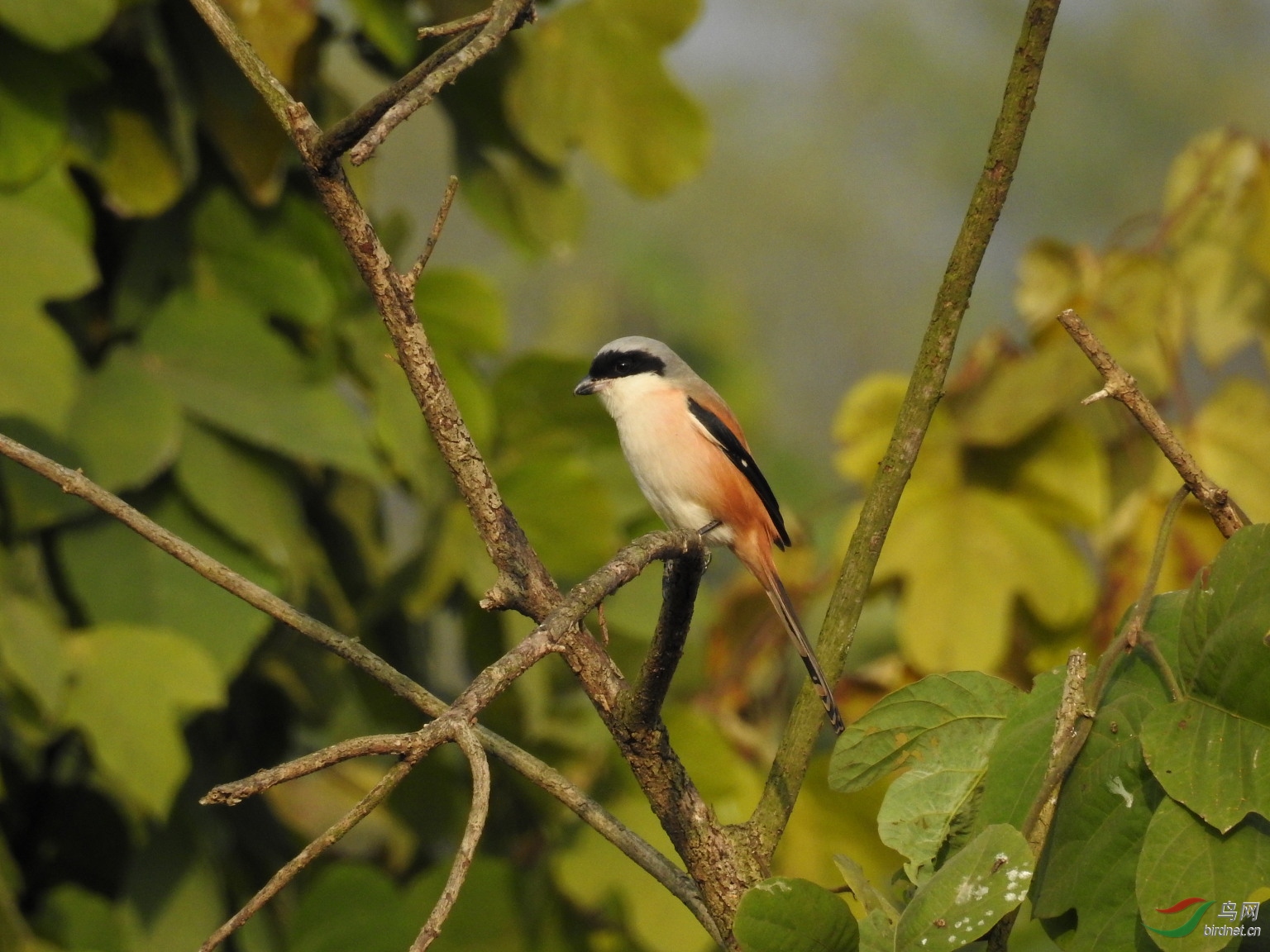 DSCN4279.JPG