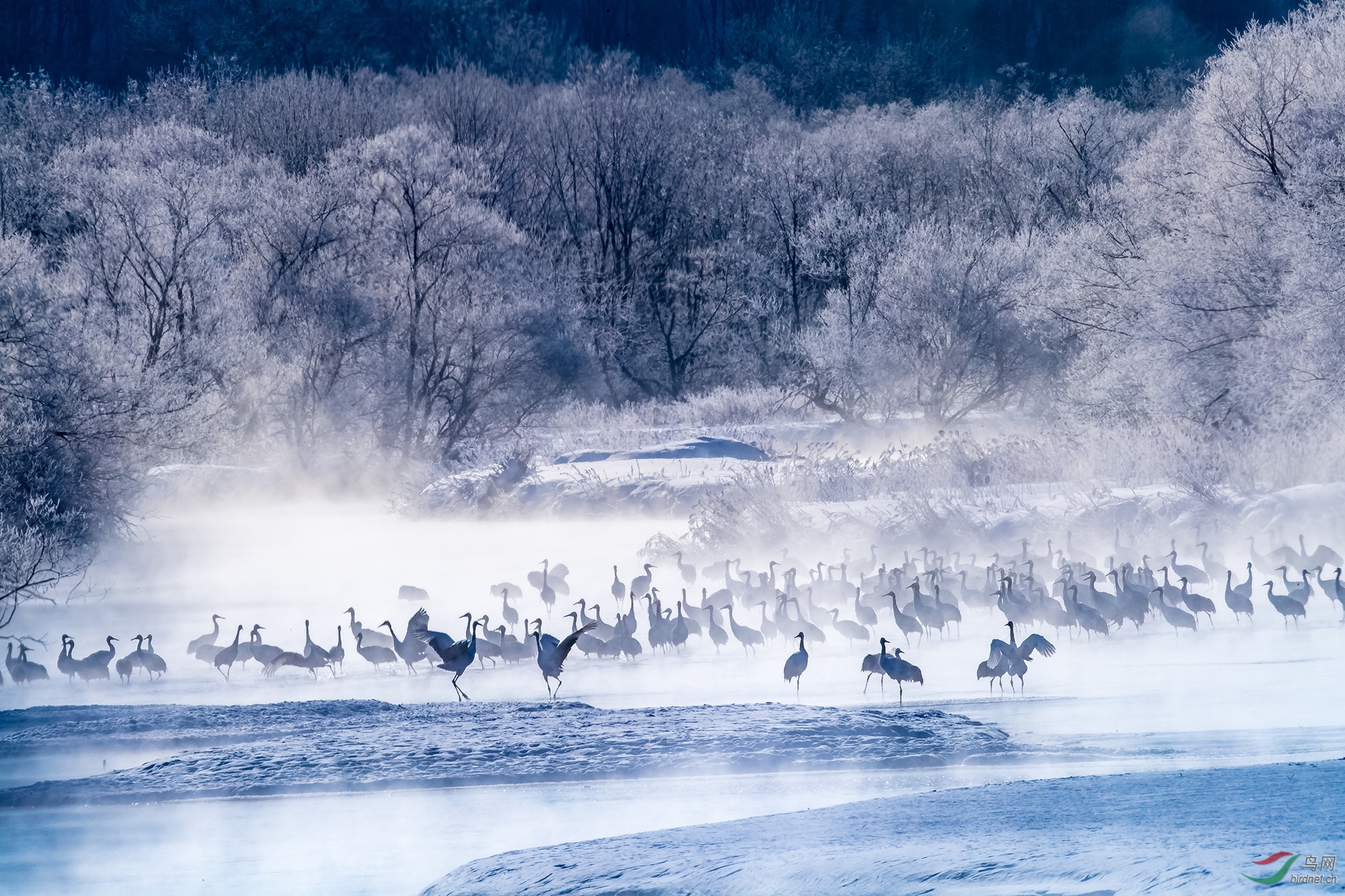 ����-4348 (2).jpg