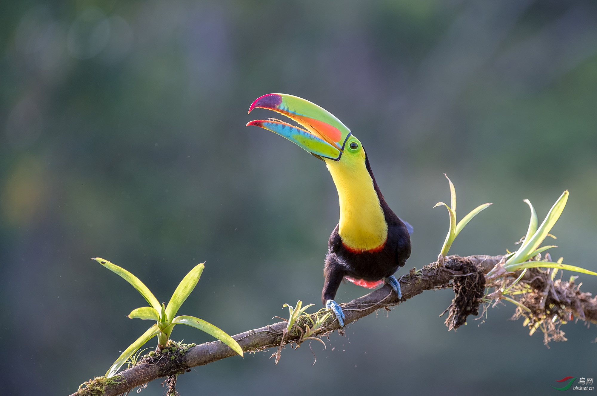 ���������-4092 (2).jpg