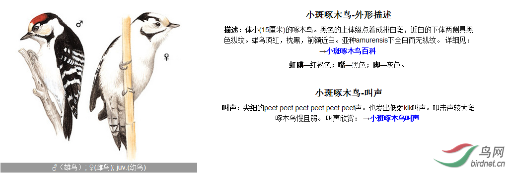 QQ�������ͼ20180913194333.png