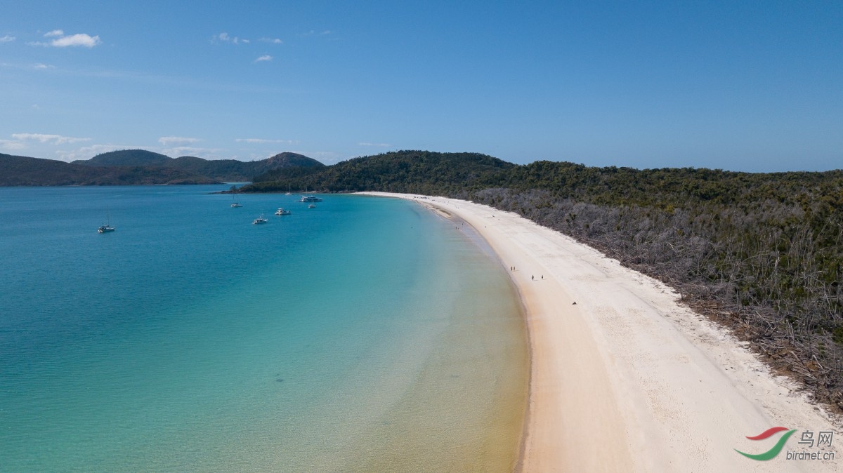 DJI_0008.jpg
