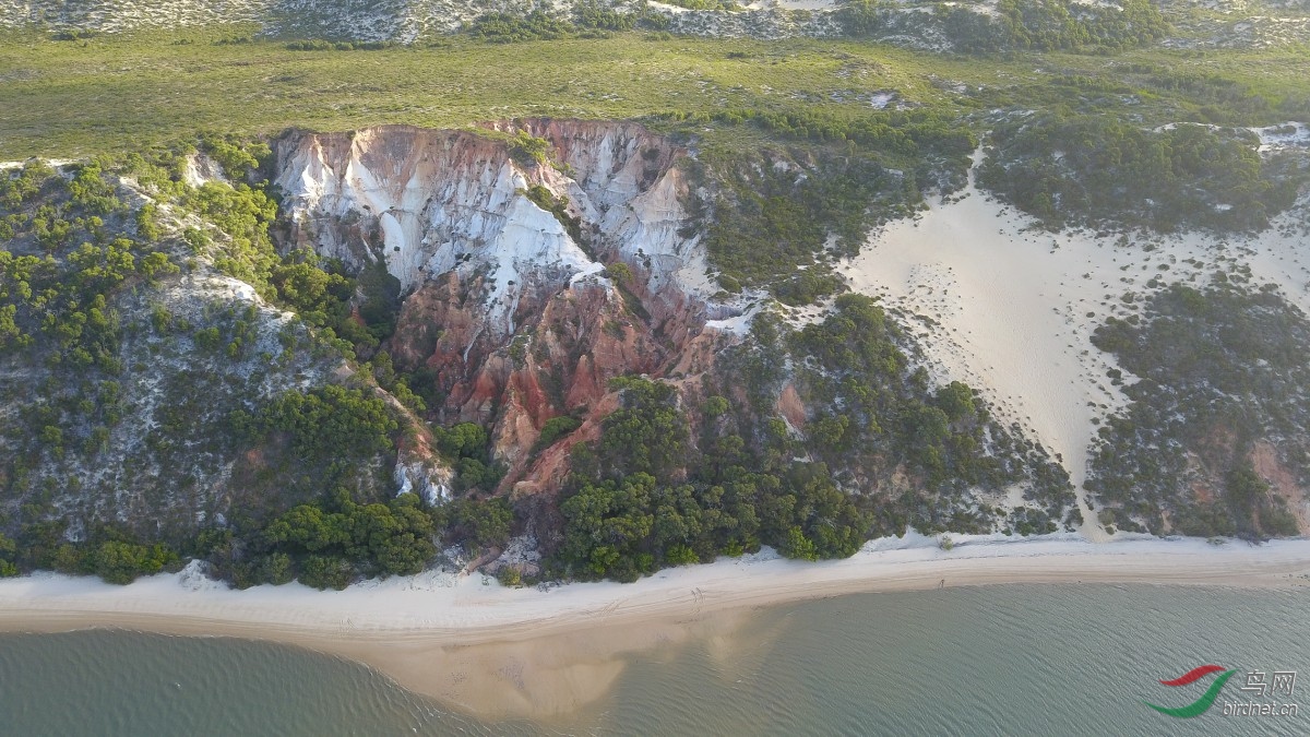 DJI_0059.jpg