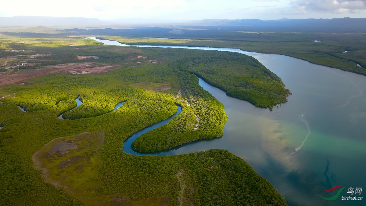 DJI_0091.jpg