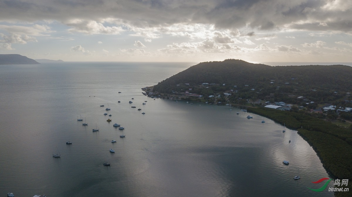 DJI_0105.jpg