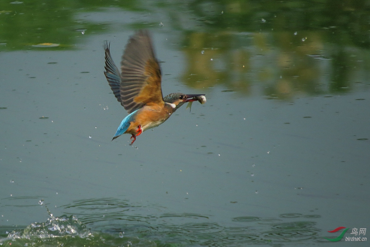 IMG_9872.JPG