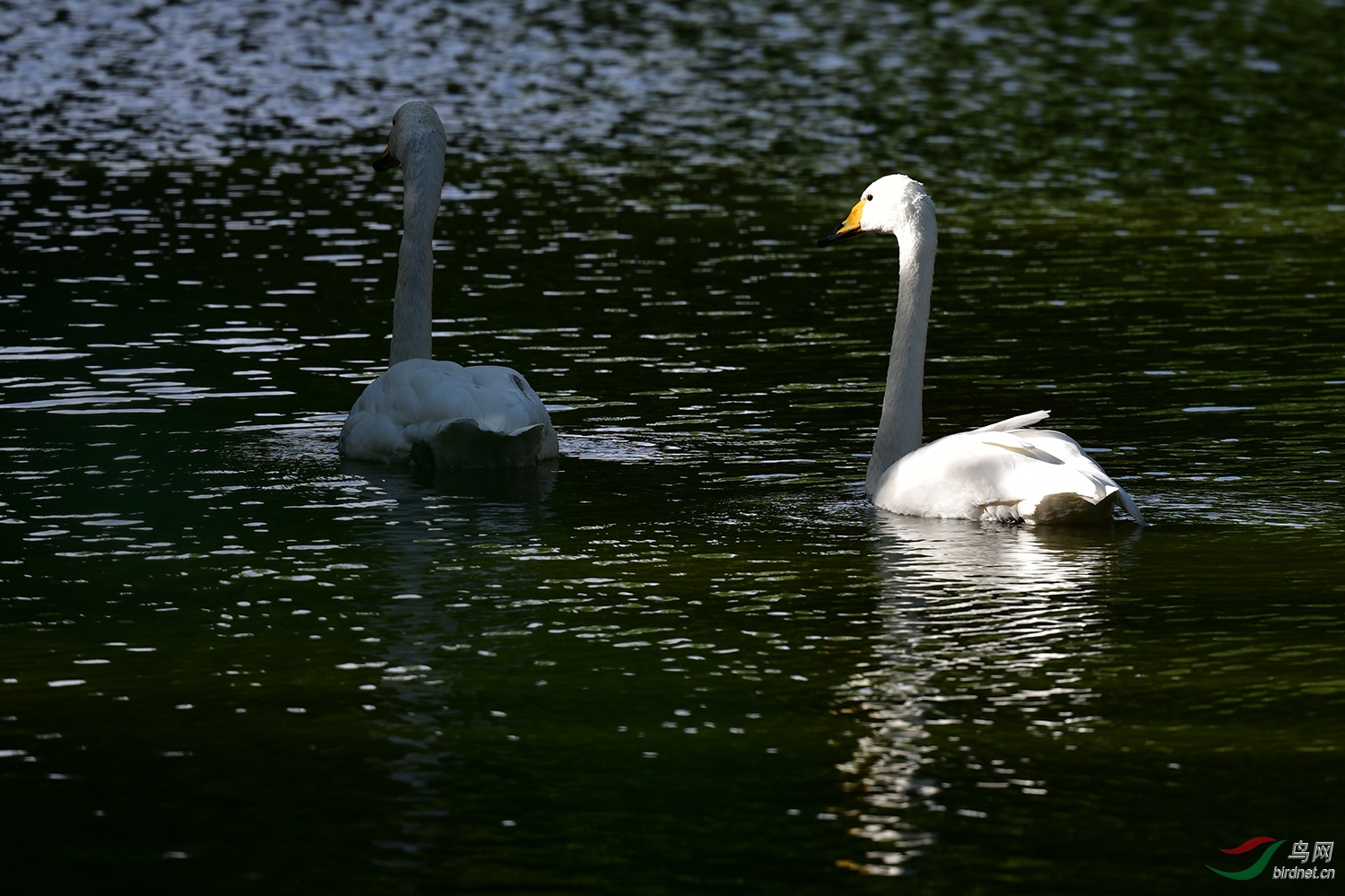 DSC_0724.jpg