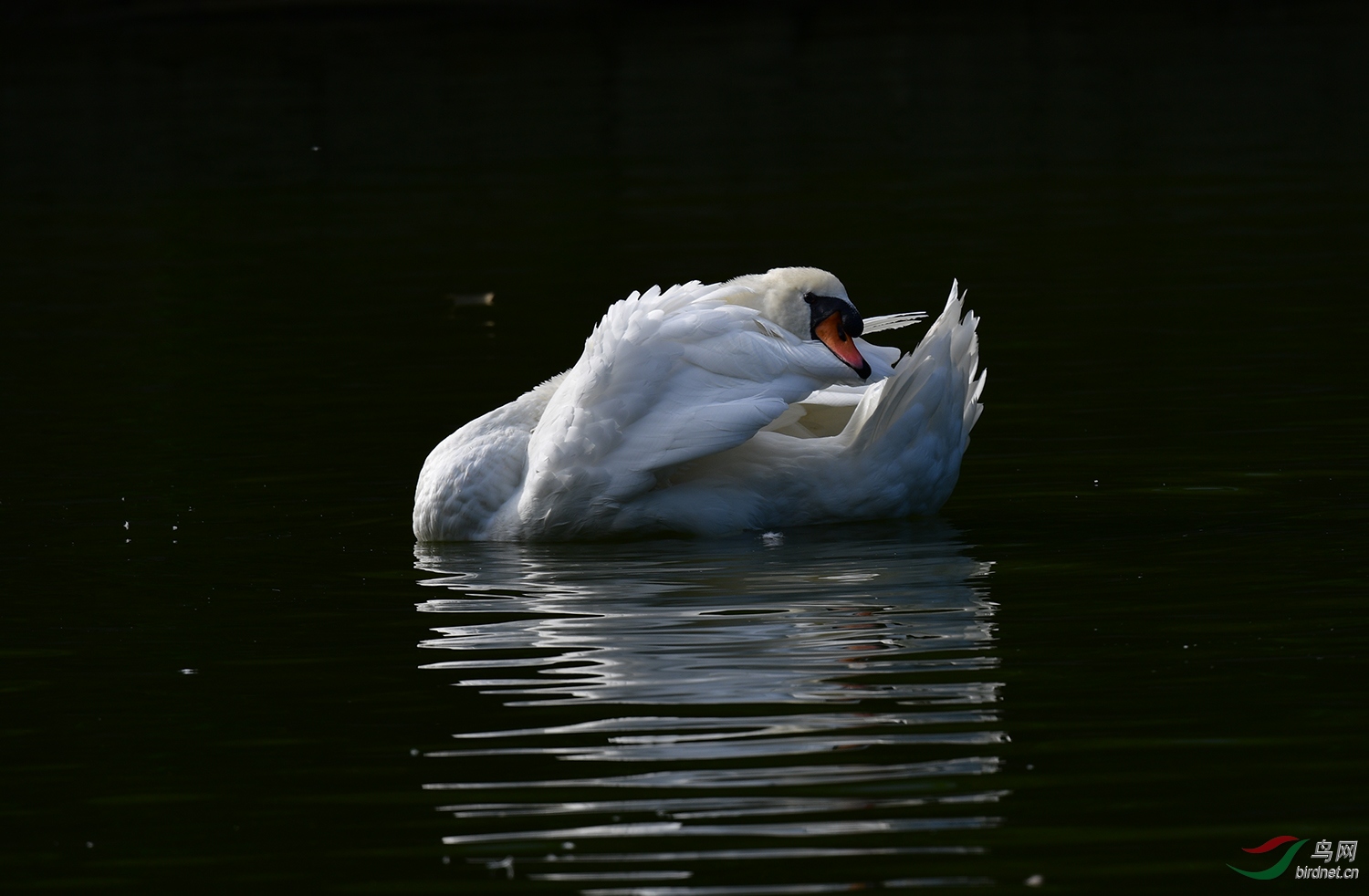 DSC_0619.jpg