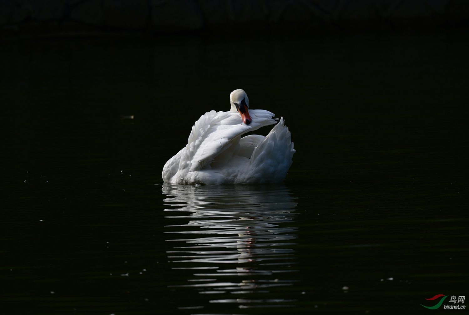 DSC_0616.jpg