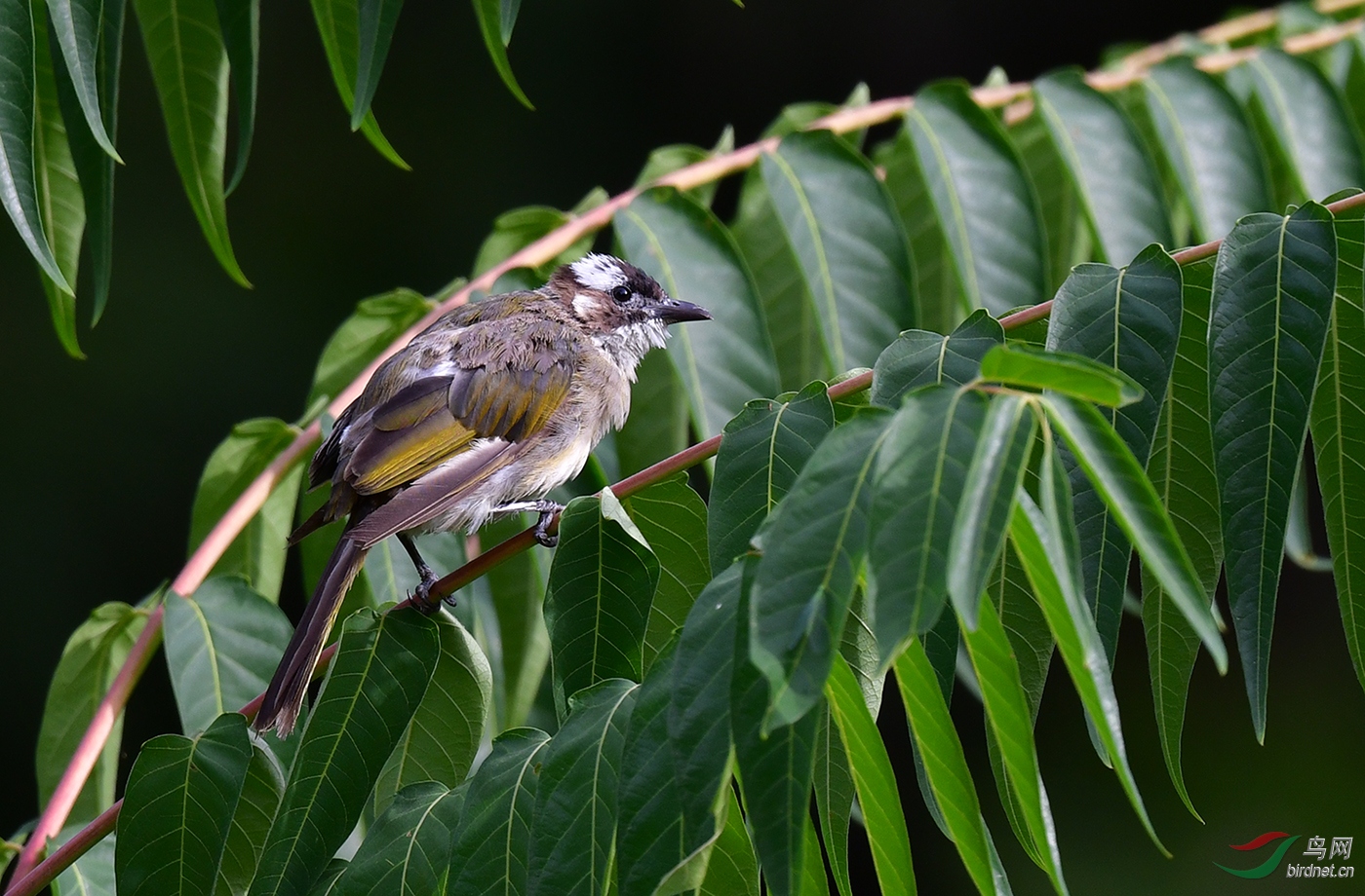 DSC_0537.jpg