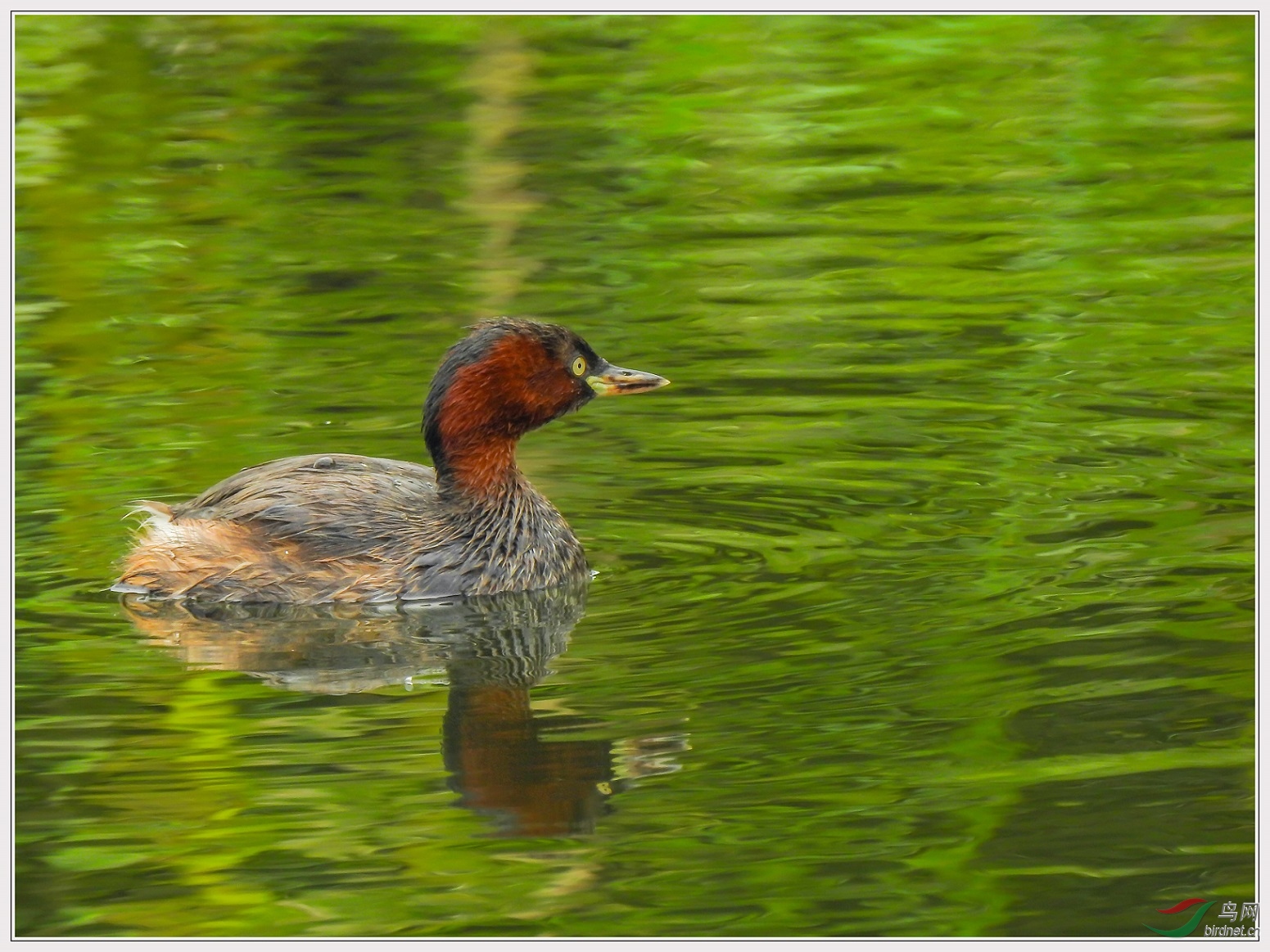 15��δ����