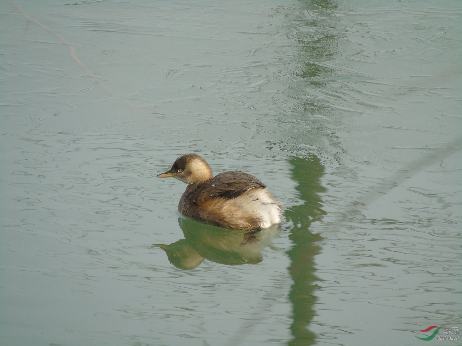 DSC02450.jpg
