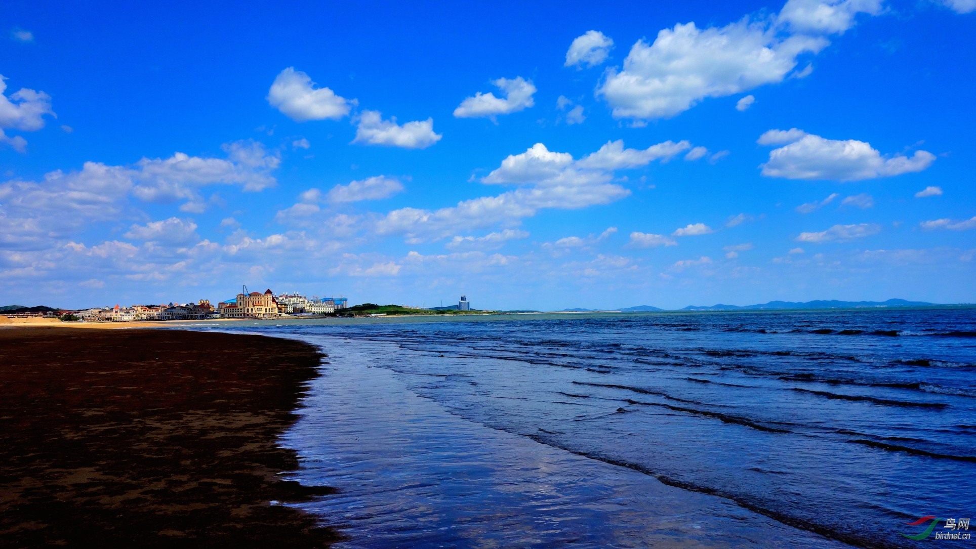 青島藍色硅谷海濱