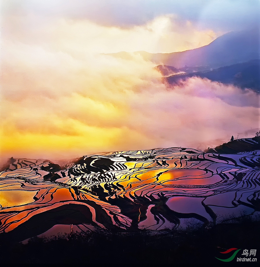 HX311-W_����.jpg