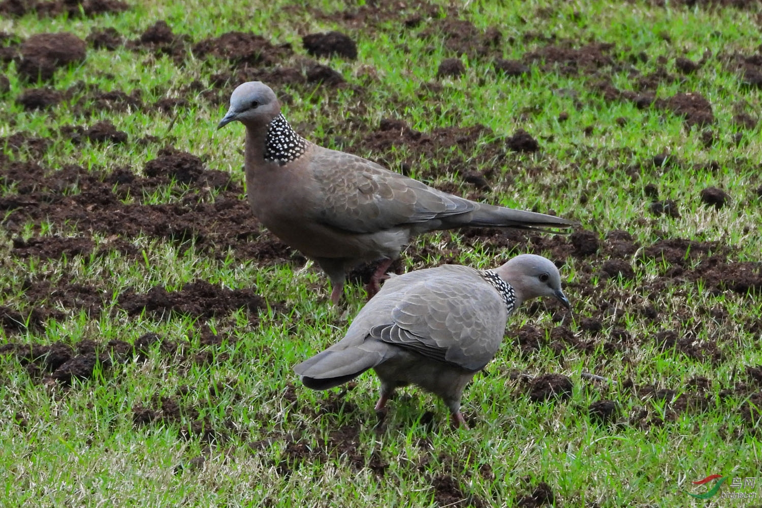 DSCN1515 ����2.jpg