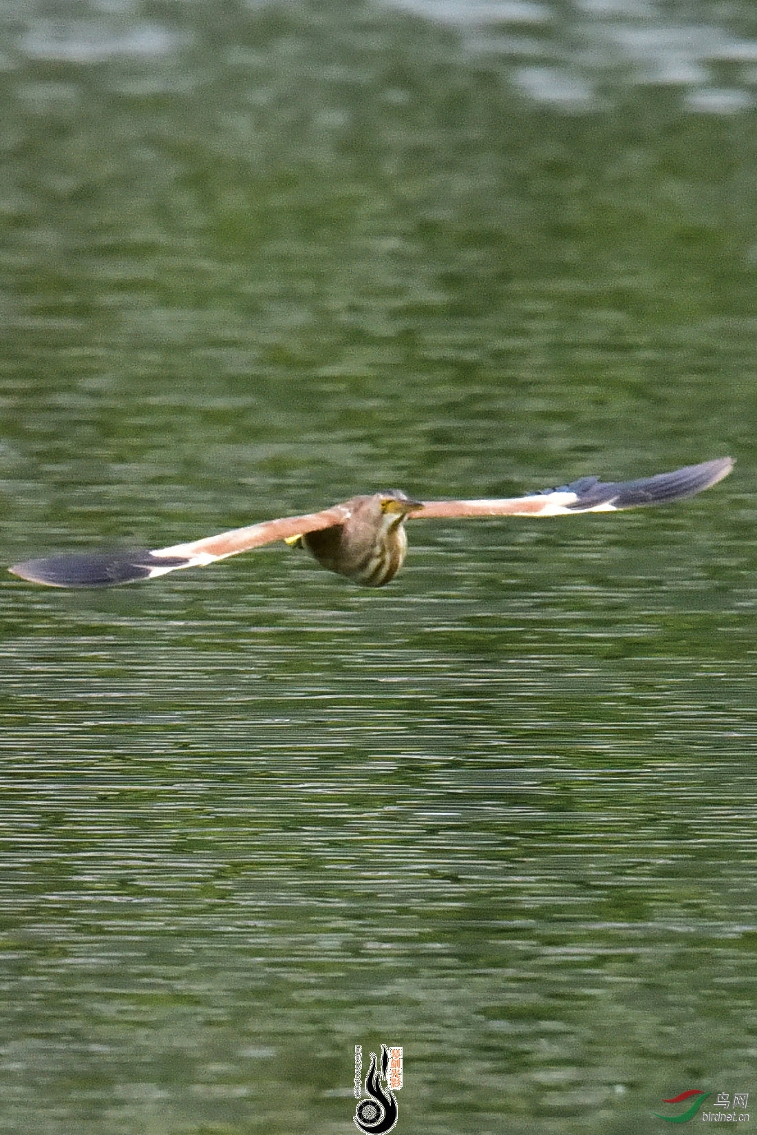 DSC_7315.JPG