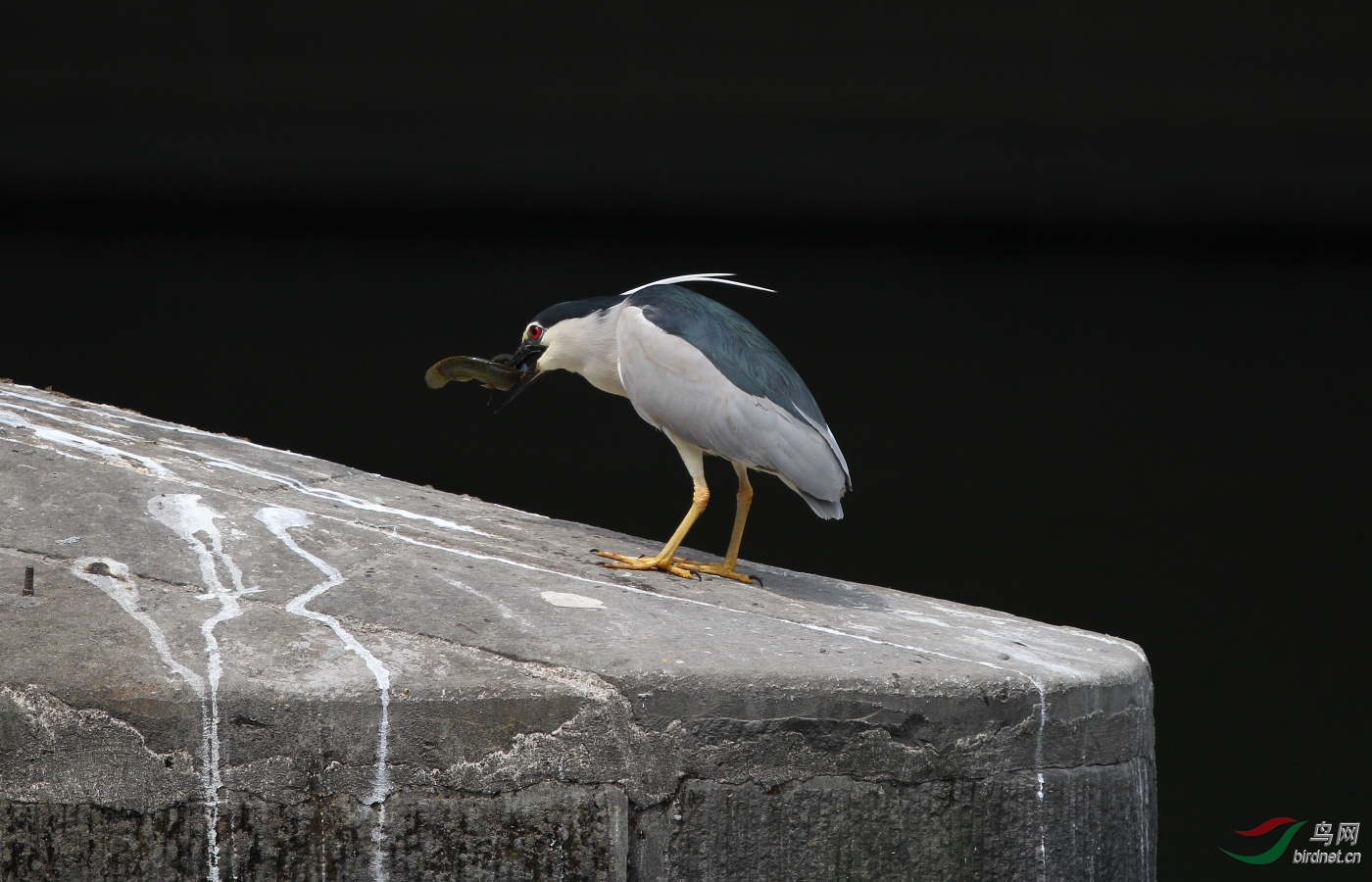 ����30�׹��ߺ�Ч���п�