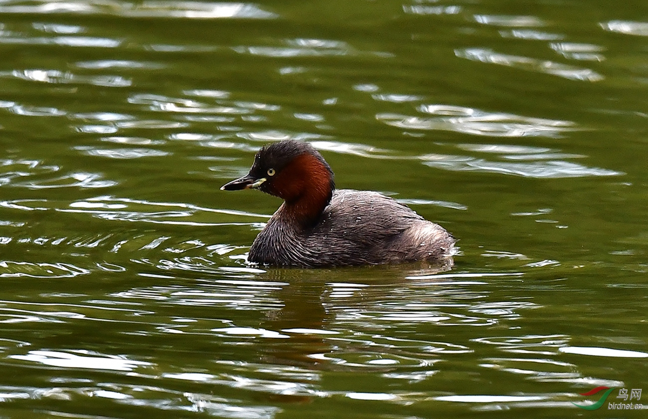 DSC_5992.jpg