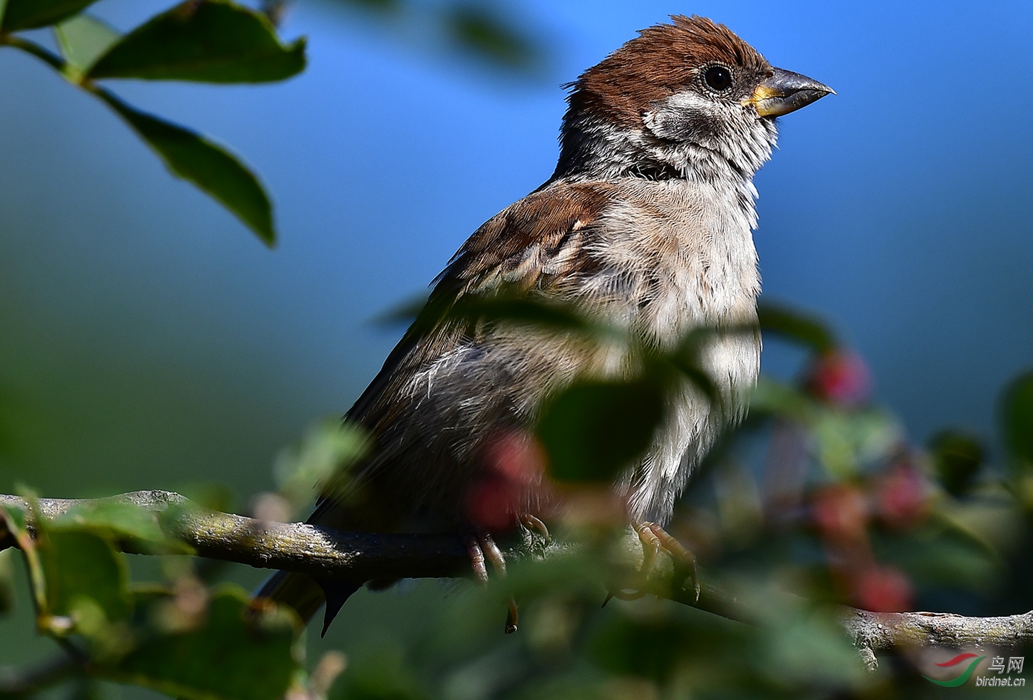 DSC_6248.jpg