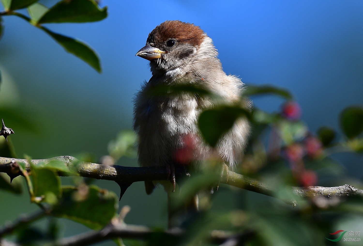 DSC_6282.jpg