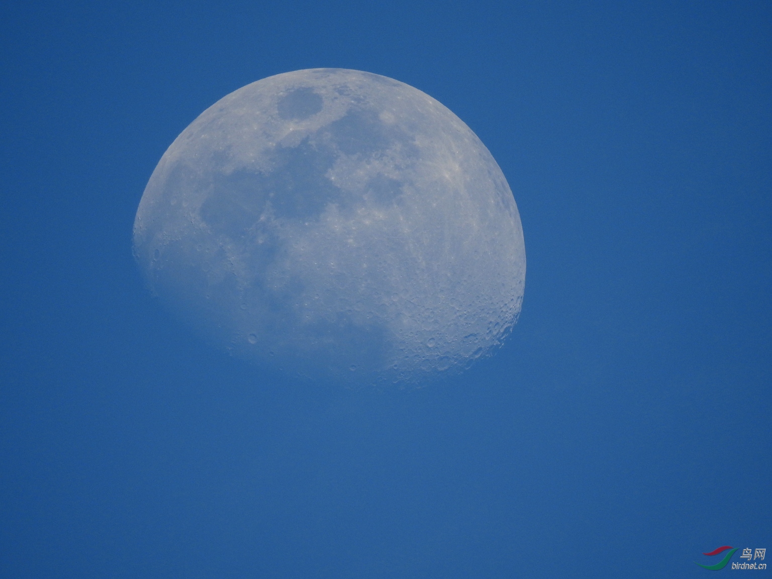 ���հ�������������һ��