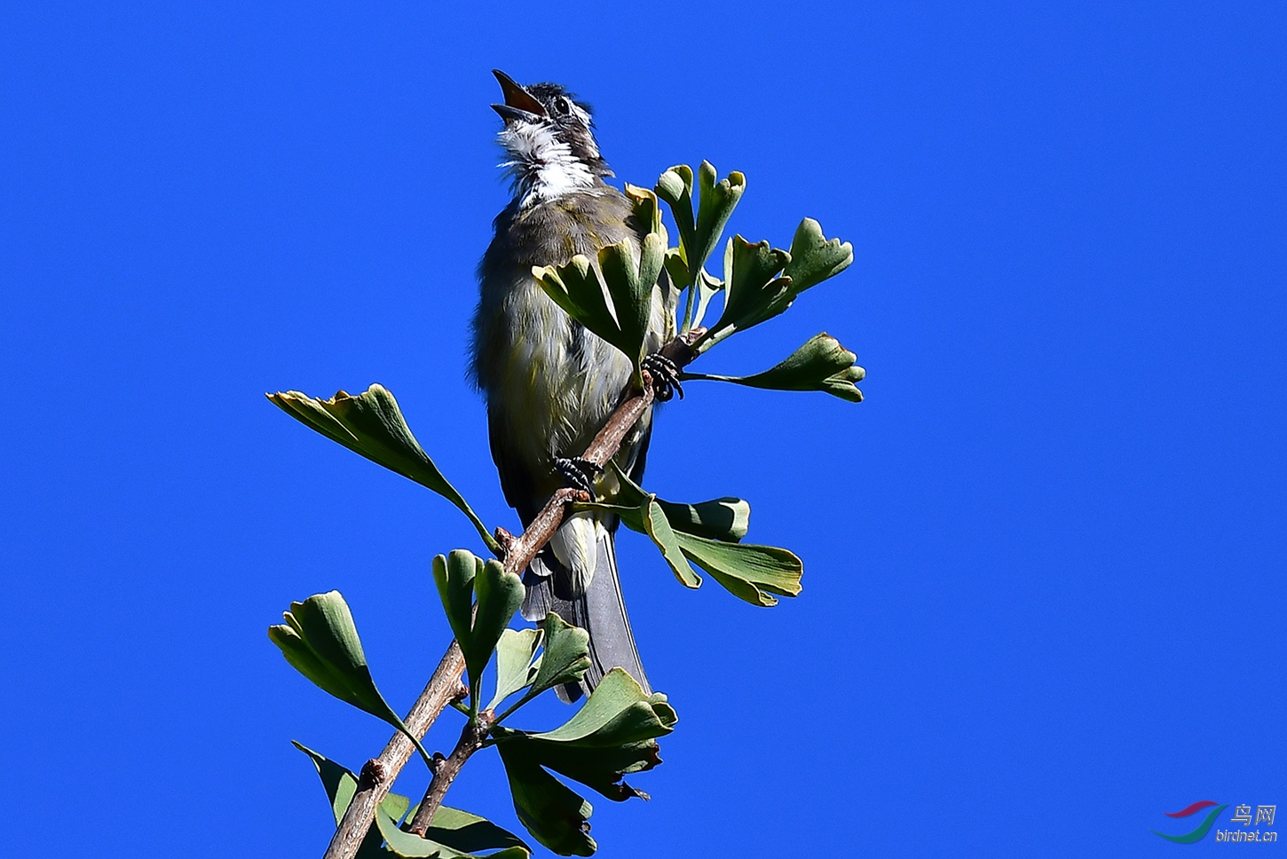 DSC_6358.jpg